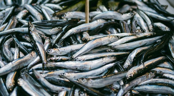 Statistiques sur la sclérose en plaques : une image de la maladie dans le monde